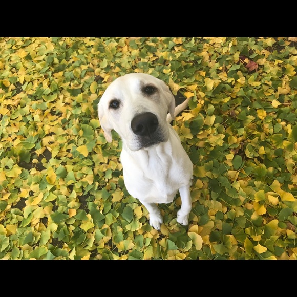 Meet your Posher, Michelle - Picture 5 of 8